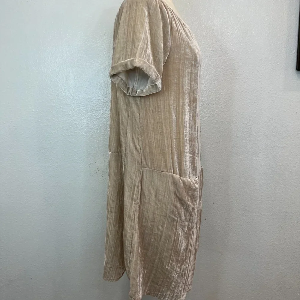 Anthropologie  Floreat‎  Women’s Crinkled Velvet Dress Champagne